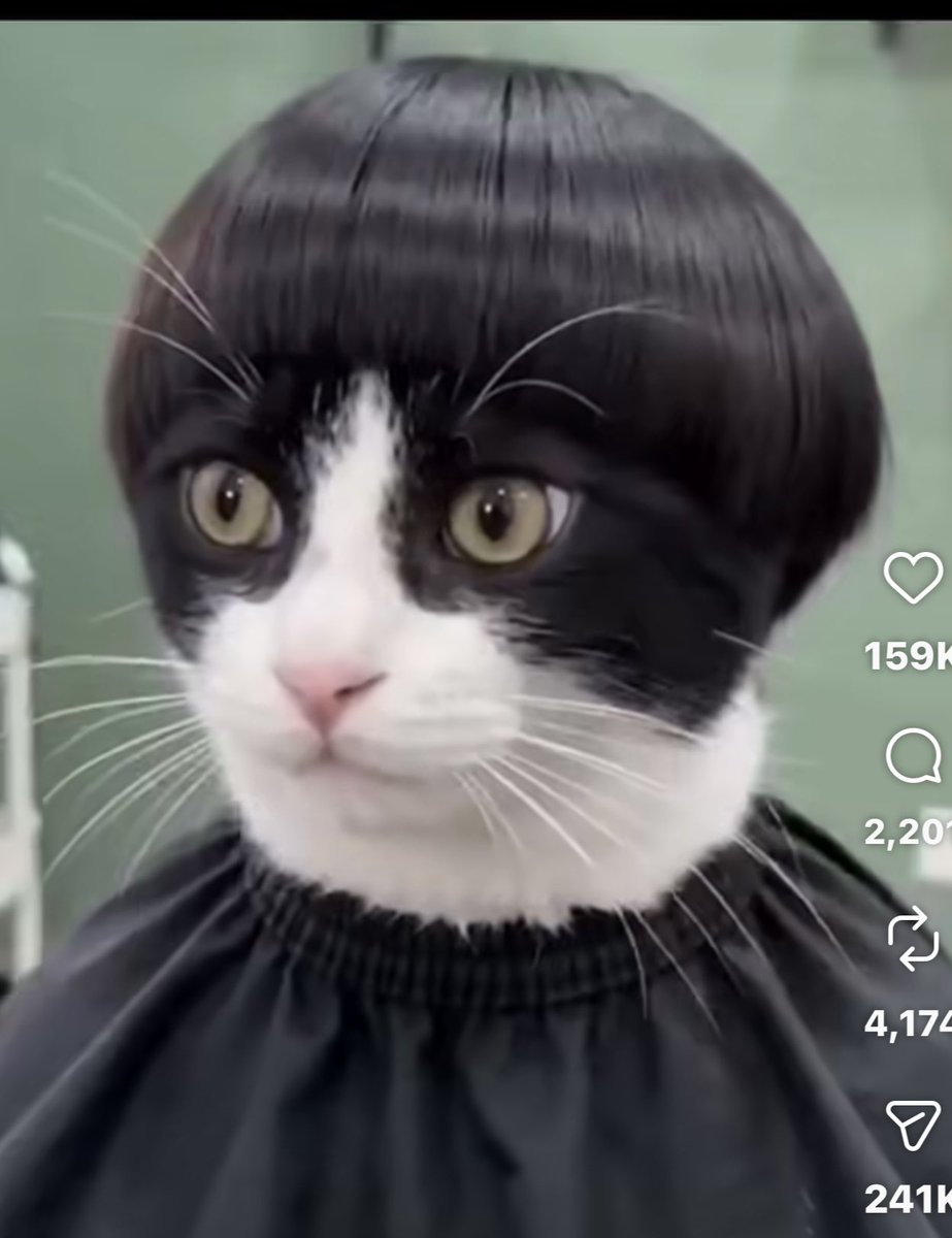 John F Kensil tweet media