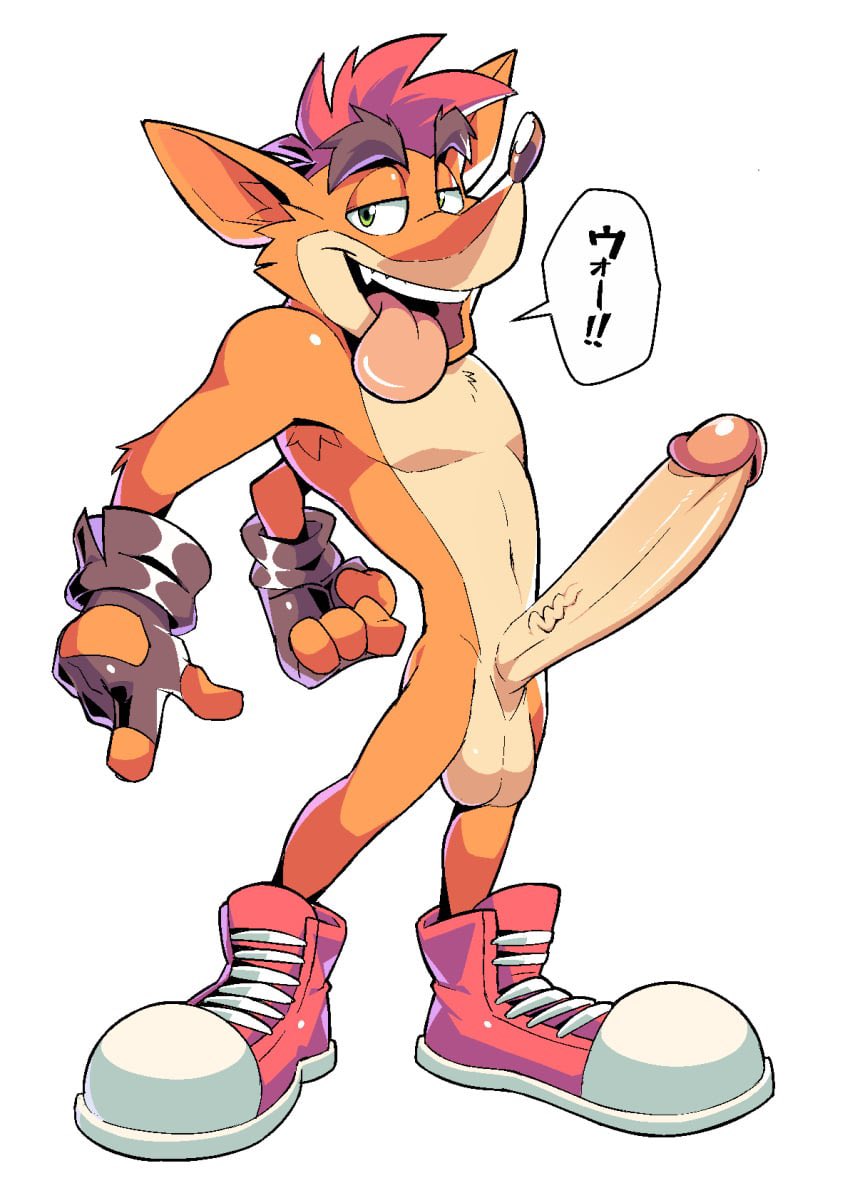 𝙲𝚛𝚊𝚜𝚑 𝙱𝚊𝚗𝚍𝚒𝚌𝚘𝚘𝚝 tweet media