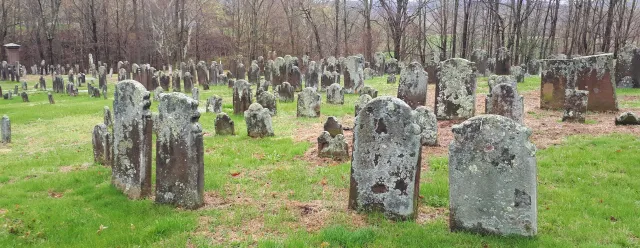 Ryan Denton tweet media