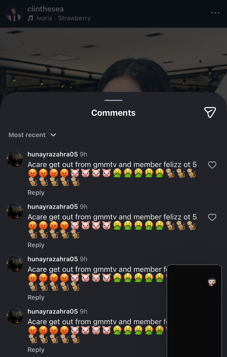 otter 🦦 tweet media