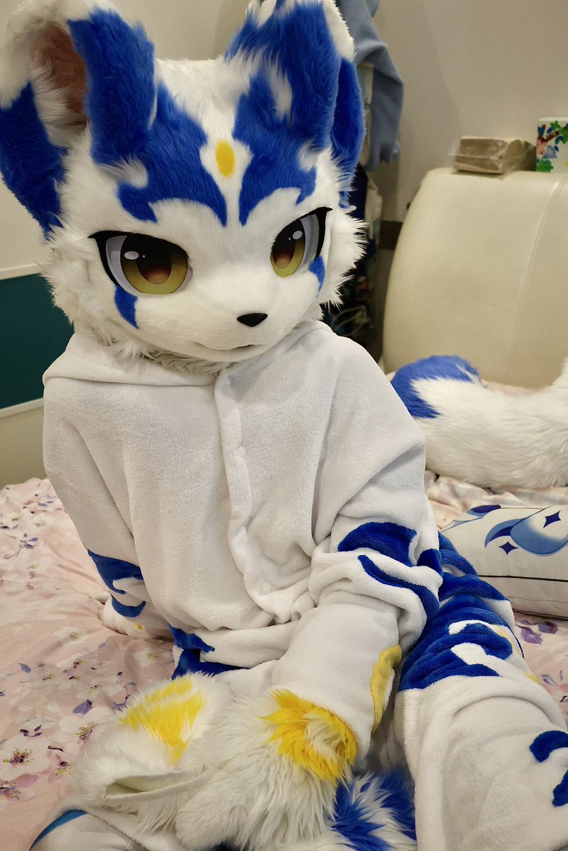 佰藏➡️上学 tweet media