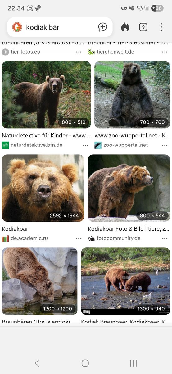 colli brie 🇨🇭🇩🇪 tweet media