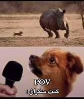 ابو انشيلوت 🇯🇴 ⌛️ 16 tweet media