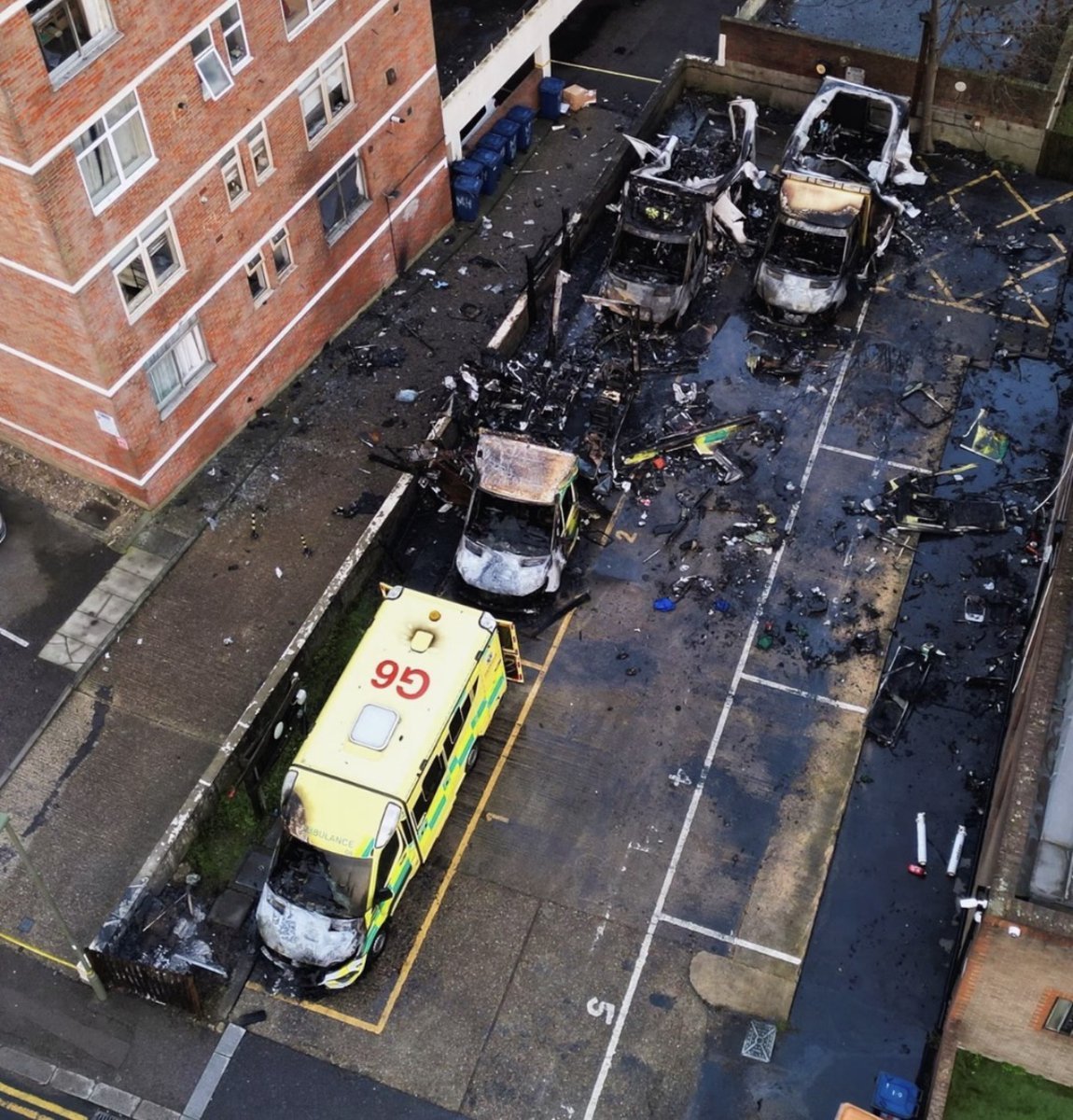 Diego Elman tweet media