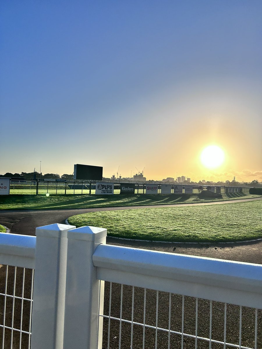 It’s Lainie 🏇🌸🐦‍🔥 tweet media