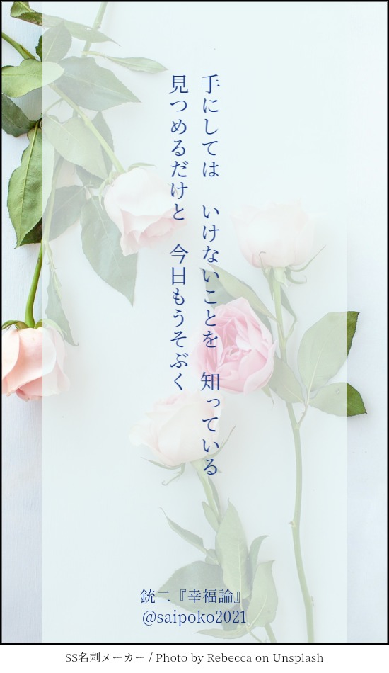 サイポコ tweet media