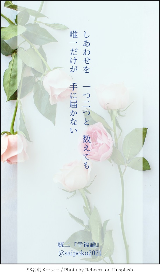 サイポコ tweet media