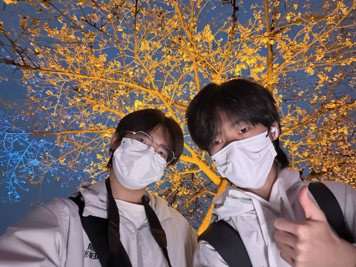 锅盖盖盖🏳️‍🌈 tweet media