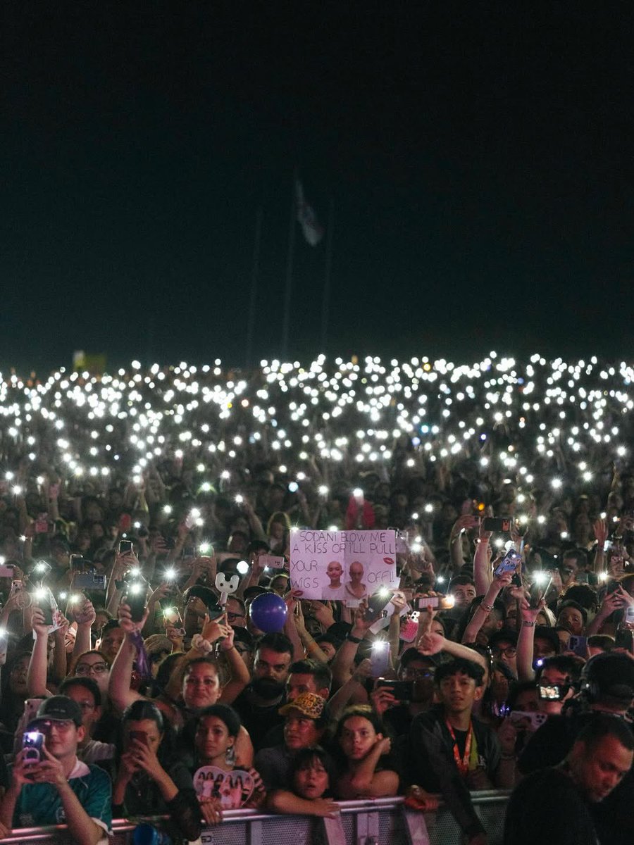 daniela loops tweet media