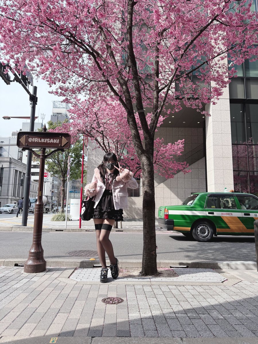 kisaki 🦋 tweet media