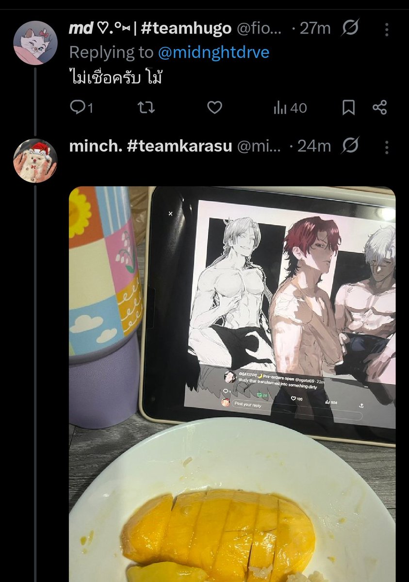 𝙊𝙂𝘼𝙏𝙄𝙏𝙊𝙎🌙 Pre-orders open tweet media