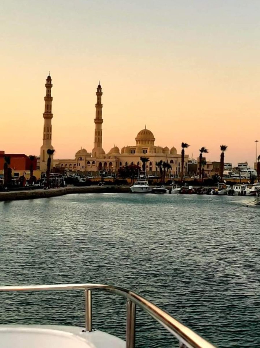 رُ🦌 tweet media