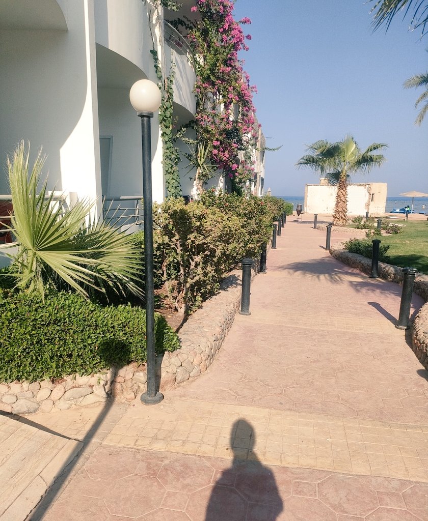 رُ🦌 tweet media