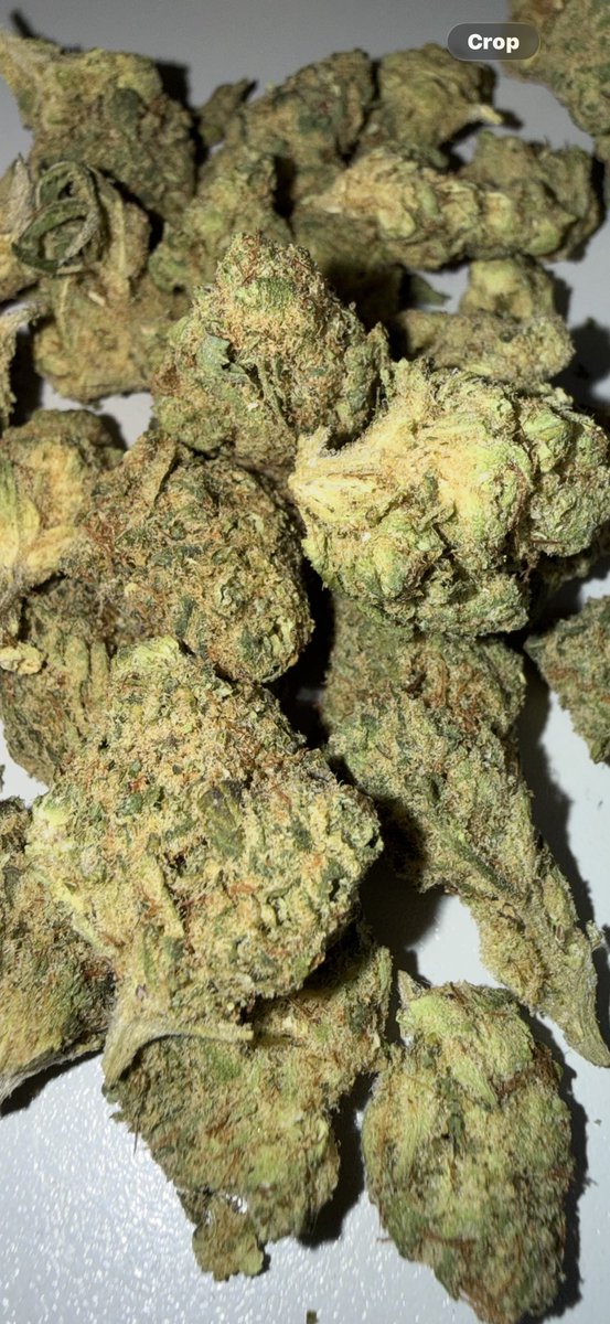 CrippyRob tweet media