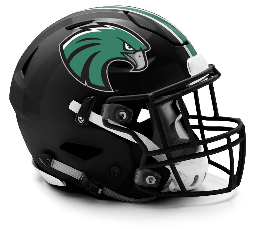 Matthewson’s Mini Helmets tweet media