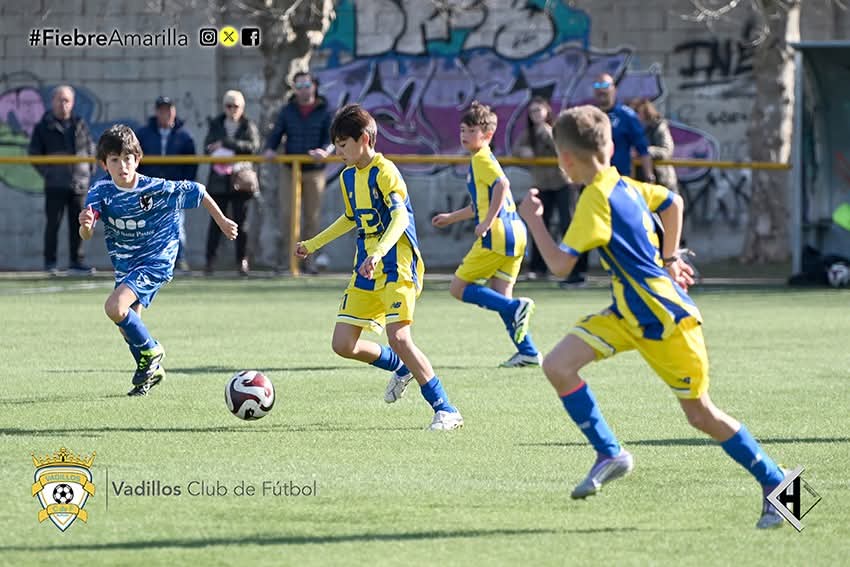 VadillosCF's tweet photo. @cdsanfelices 1-5 Alevín "B" @d3burgos

Buen partido de los chicos de @d.alday85, @llorentee95 , @mario.drum y @mmicheell_, en el que consiguieron una cómoda victoria 💛💙

Enhorabuena 💪

➕3️⃣ Jornada 22

#FiebreAmarilla #FamiliaVadillista https://t.co/voyChwUFJ4