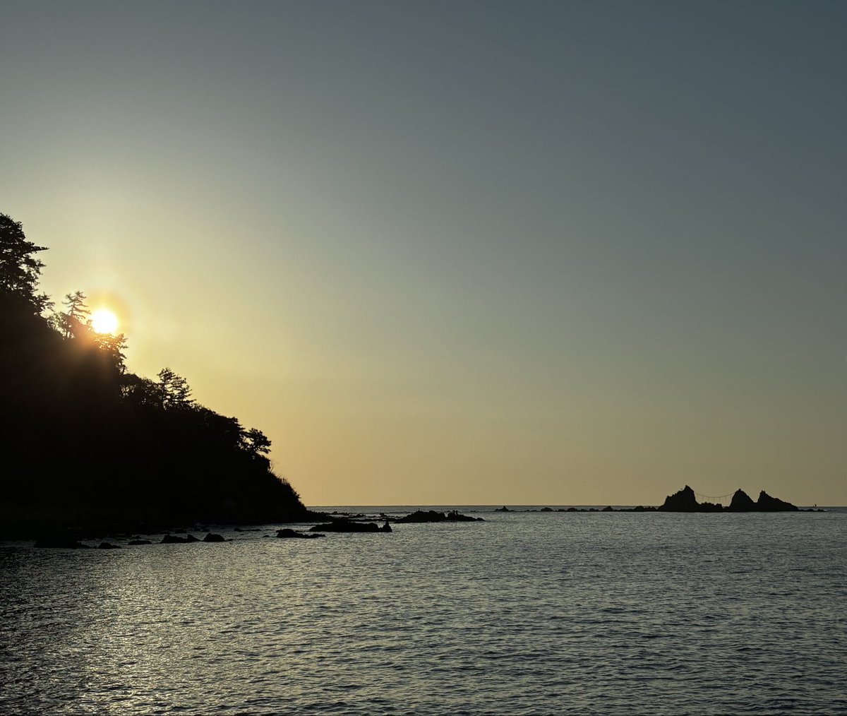 ノンタクトしゅん　(とんたくと) tweet media