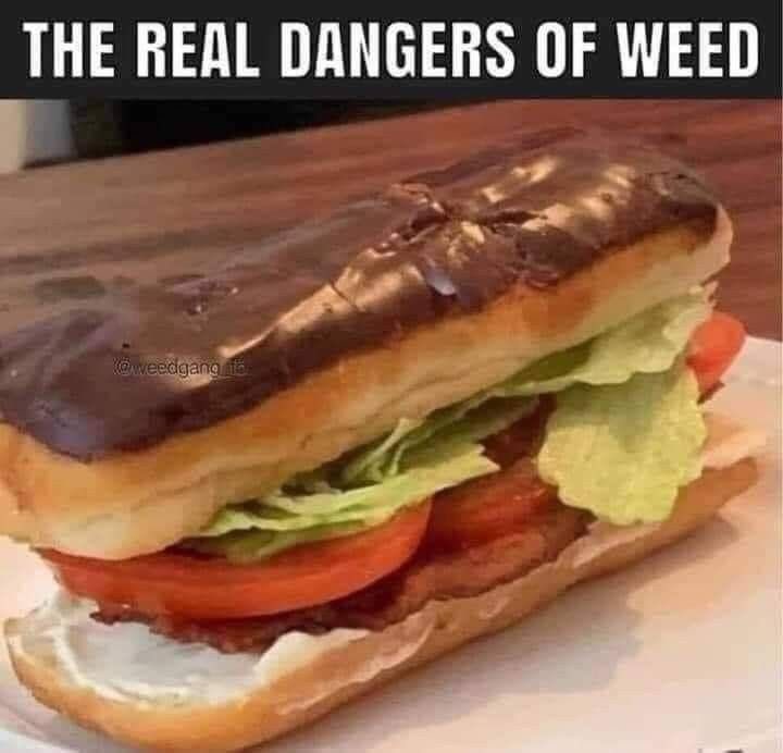 🌍 𝕄𝕪 𝕋𝕚𝕟𝕪 𝕎𝕠𝕣𝕝𝕕 🌎 tweet media