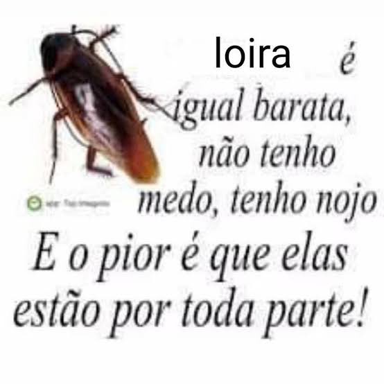 lucinha | fã-clube jota falcão tweet media