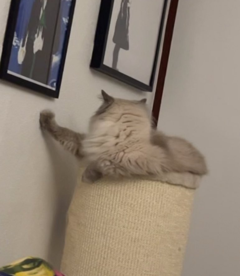 🇵🇸 ☔️💜 tweet media