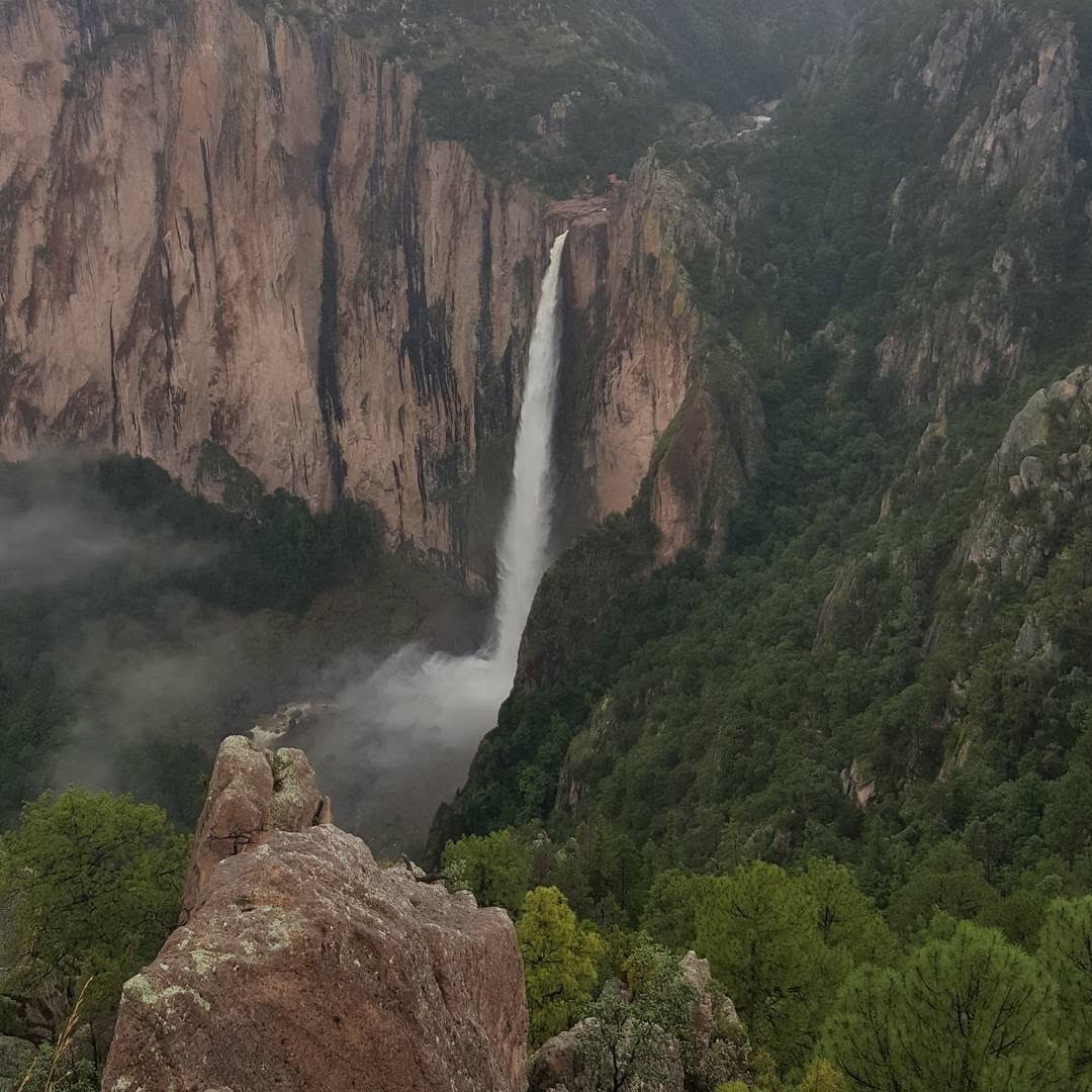 EspirituCurioso's tweet photo. ¿Te imaginas una cascada en México más alta que muchos rascacielos? 😱

En lo profundo de la Sierra Tarahumara, se esconde una caída de agua tan alta que parece irreal: la Cascada de Basaseachi.

Son 246 metros de altura, lo que la convierte en una de las cascadas más altas de todo el país. Pero lo que realmente sorprende no es solo el número… es la sensación de estar frente a ella.

Desde los miradores, el paisaje se abre como si alguien hubiera rasgado la tierra: paredes de roca, bosque denso y, en medio, un hilo blanco que se lanza al vacío con una fuerza que se escucha antes de verse.

Y aquí viene un detalle que pocos saben:
no siempre luce igual.

Durante temporada de lluvias, la cascada ruge, se ensancha y llena todo el cañón con una especie de neblina fresca que te alcanza aunque estés lejos. Pero en época seca, el flujo disminuye y deja ver mejor las formas de la roca, como si el lugar cambiara de personalidad.

Es de esos sitios donde el silencio pesa… hasta que el agua rompe todo.

Y justo cuando crees que ya viste todo, el entorno te recuerda que esto no es solo una cascada, es parte de un ecosistema enorme, vivo, que se siente intacto.

Aunque podría ser uno de los rincones más recónditos de México, realmente vale la pena la travesía, cuando estás ahí, al frente, contemplando tremenda caída de agua. 

📸 IG: gloria.raquel