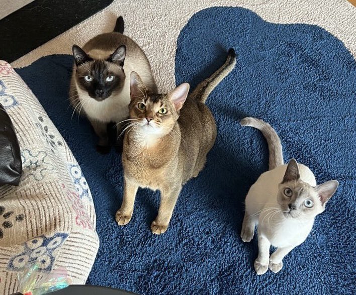 พี่จ่าดอ555.(slow) tweet media