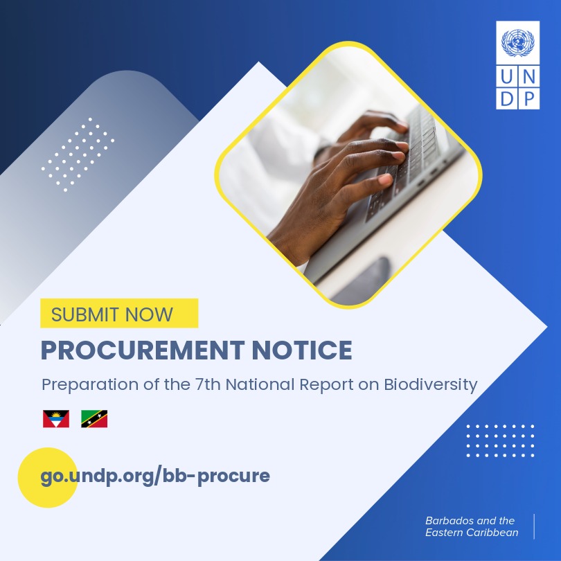 UNDP Barbados & the Eastern Caribbean tweet media