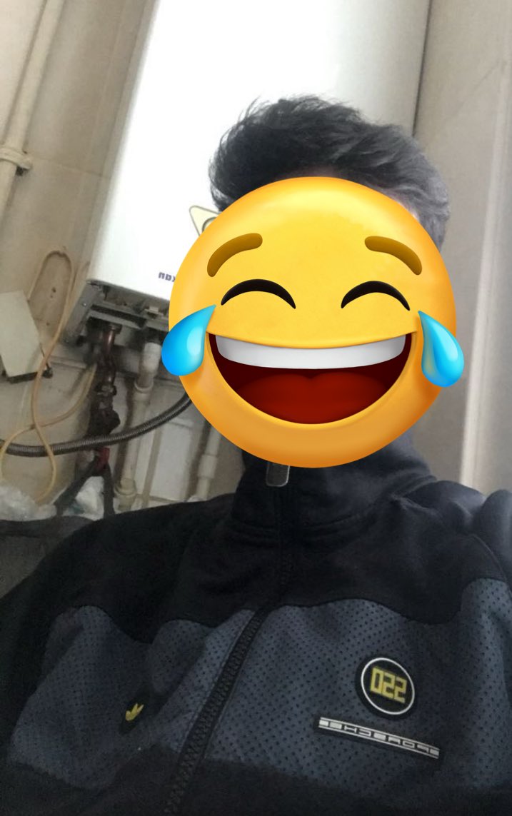 birdörtsi tweet media