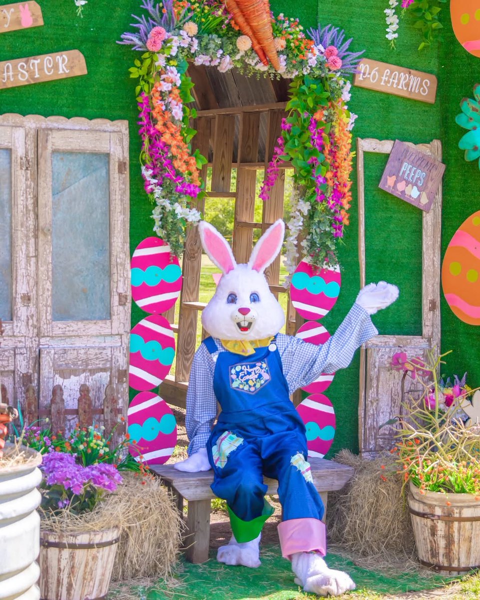 Conroe, Texas tweet media