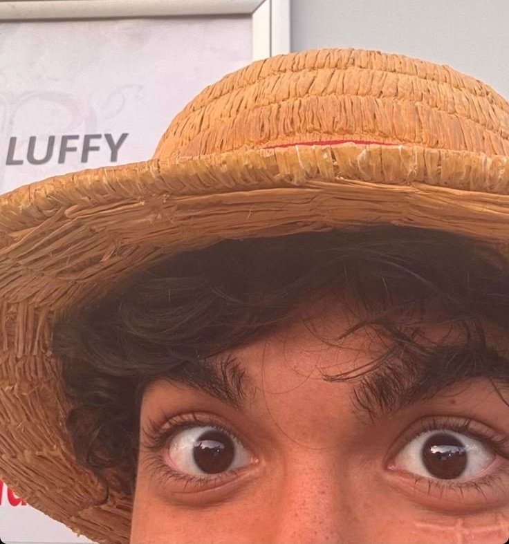 Alt. Luffy tweet media