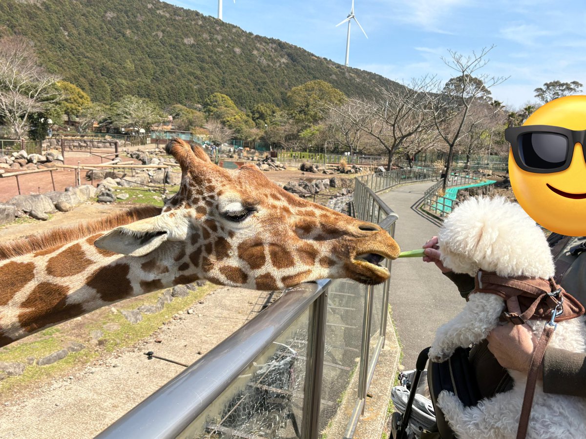 こばママ tweet media