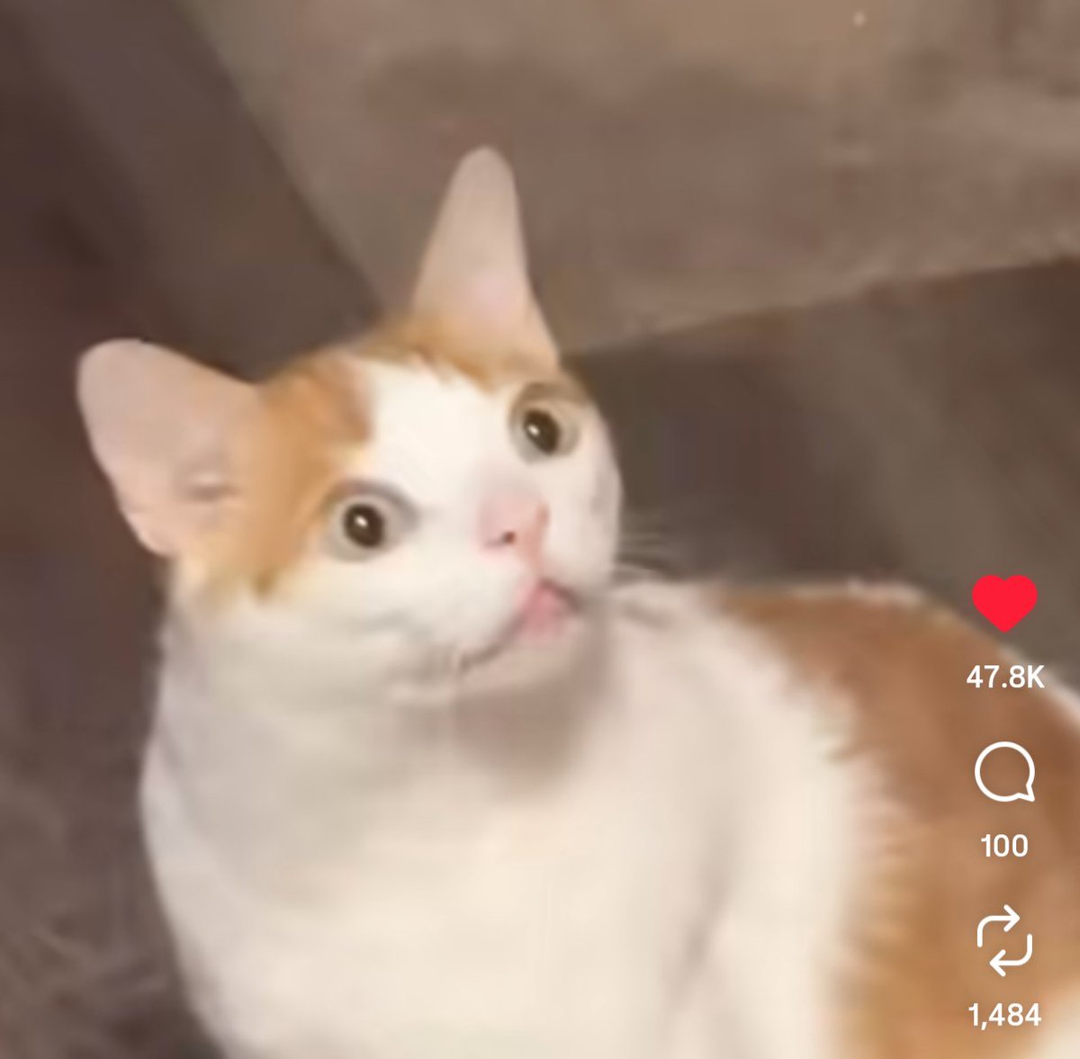 Lesbian al-Gaib tweet media