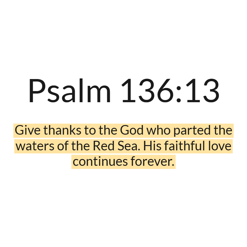 Jesus Insight tweet media