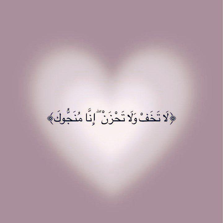 عادل علي بن علي tweet media