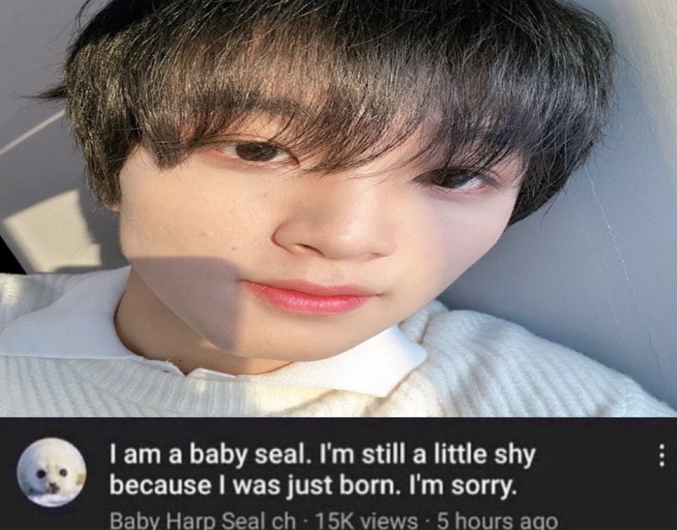 cece 🧸🪽 tweet media