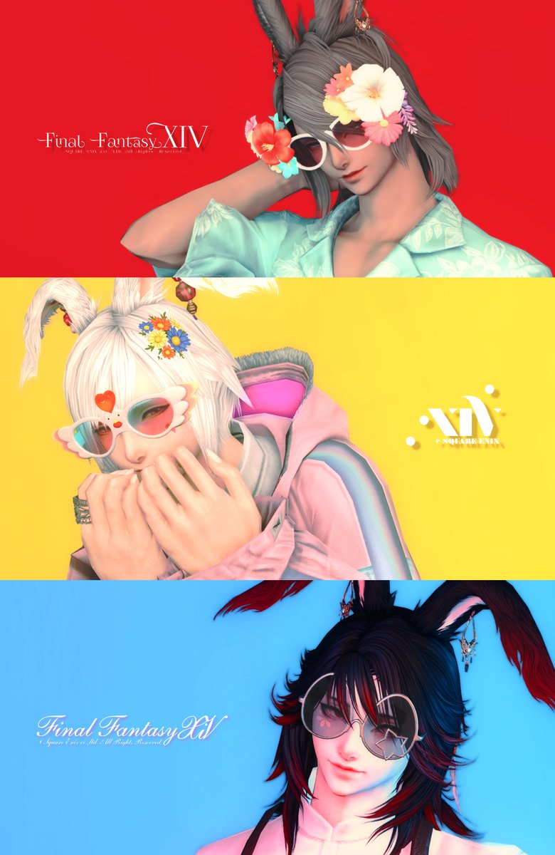 𝐄𝐜𝐡𝐨 tweet media