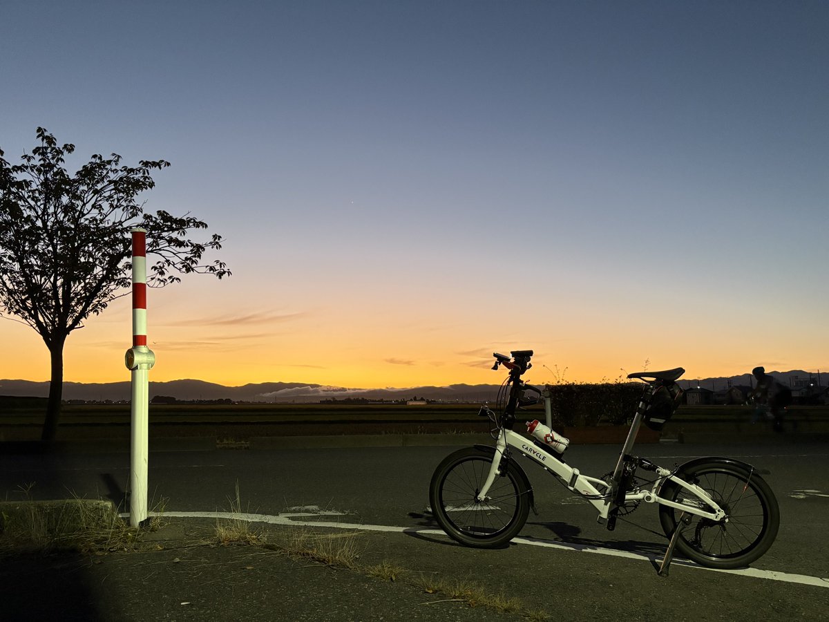 トラップ tweet media