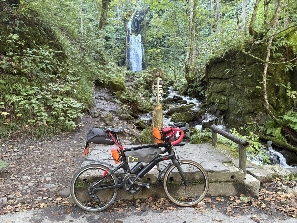 トラップ tweet media