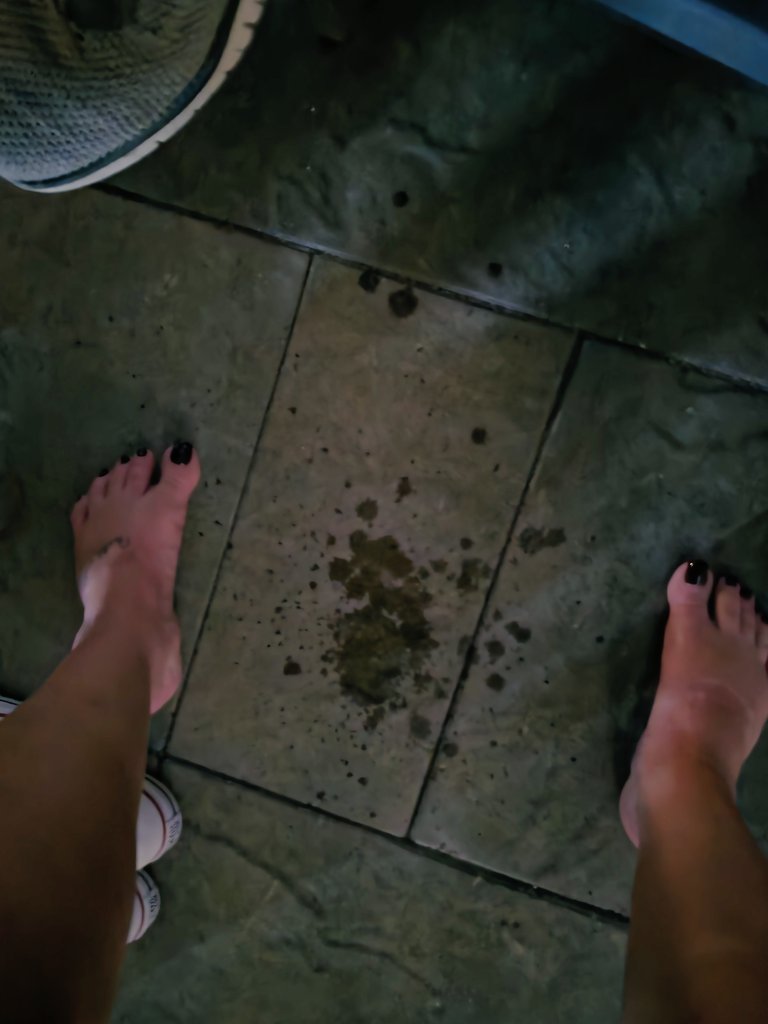 HfunN636 tweet media