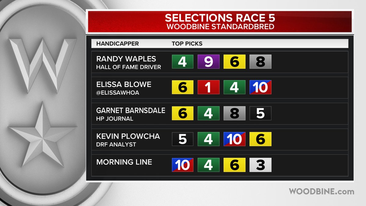 Woodbine TV Producers tweet media