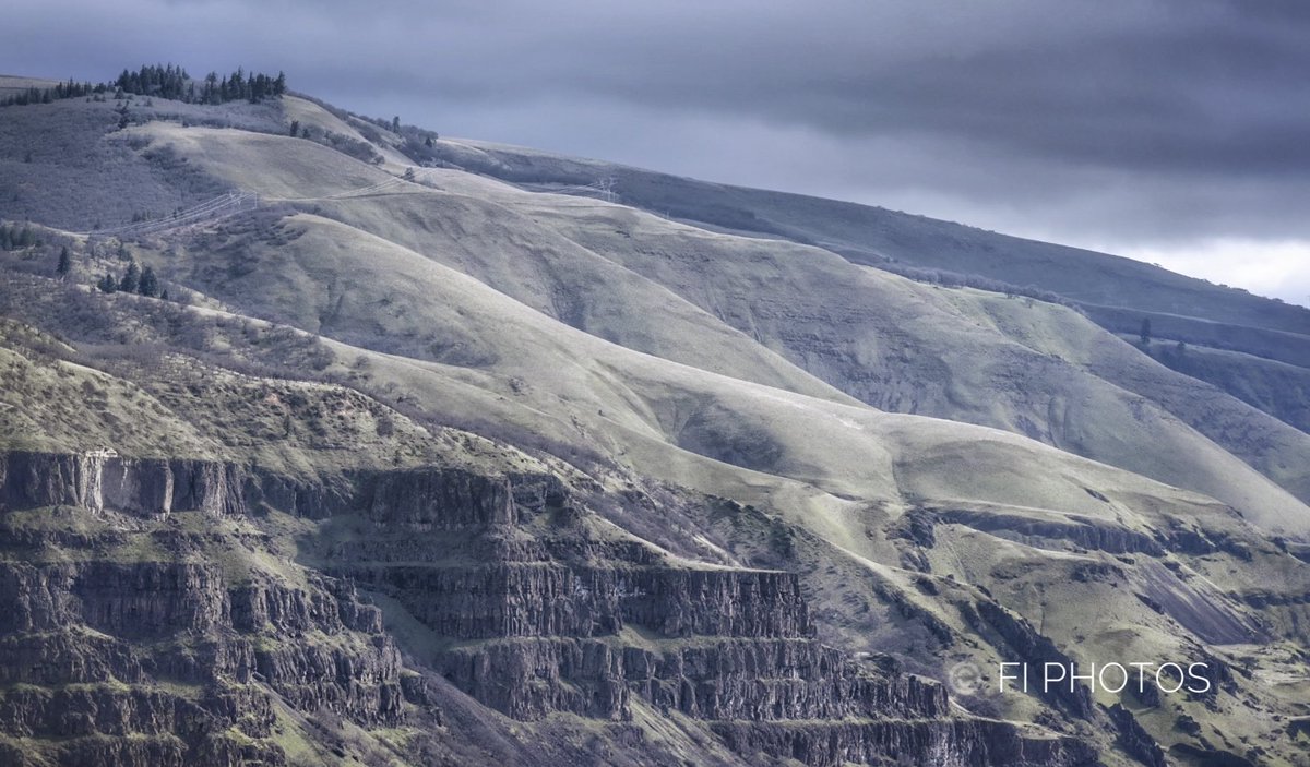 Fi Photos tweet media