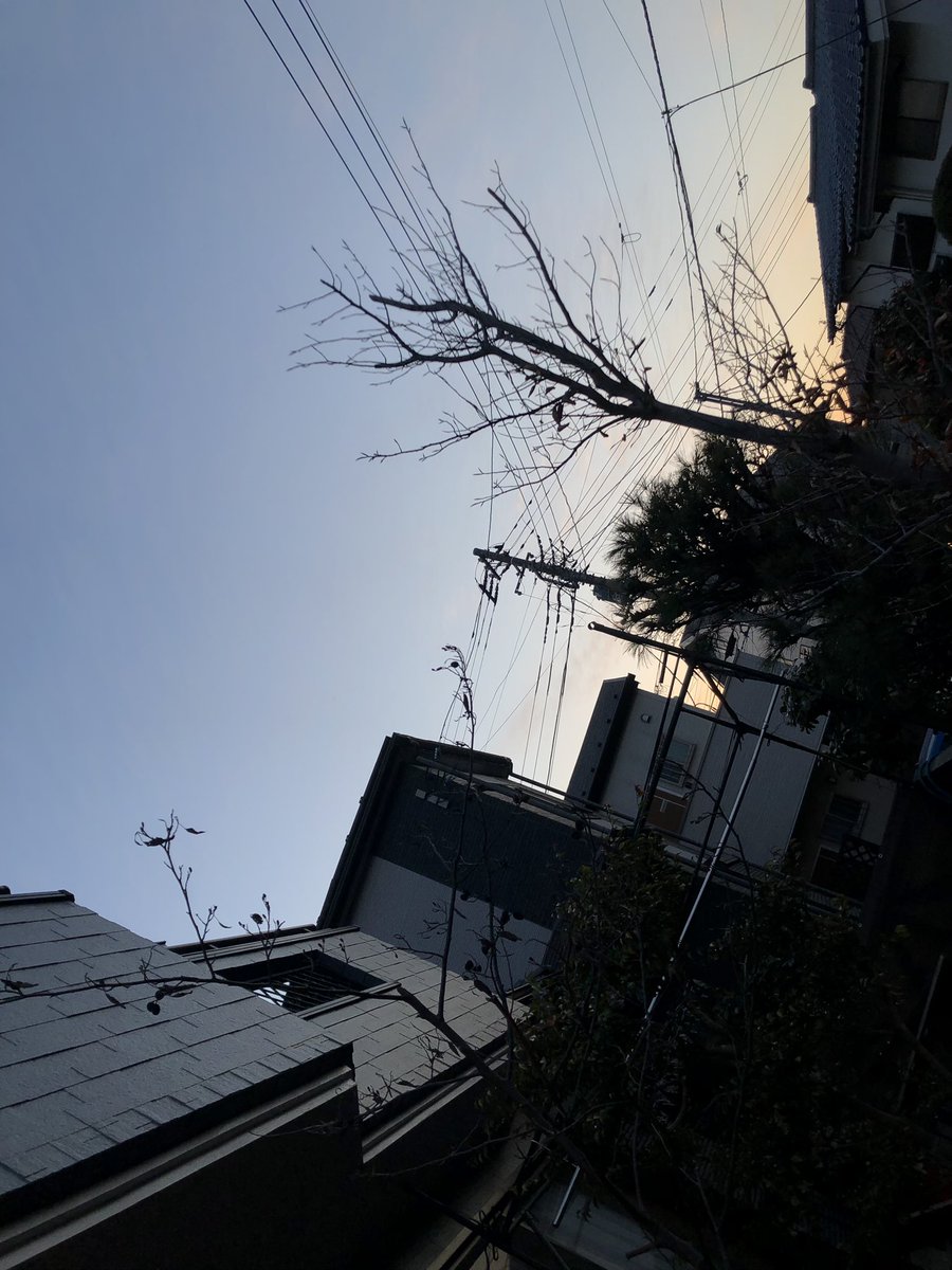 022RED's tweet photo. おはよう！
よく駅で見かける人。ホームで電車を待っている間に、思いっきりパンを頬張る！ https://t.co/zxKZPBljBY