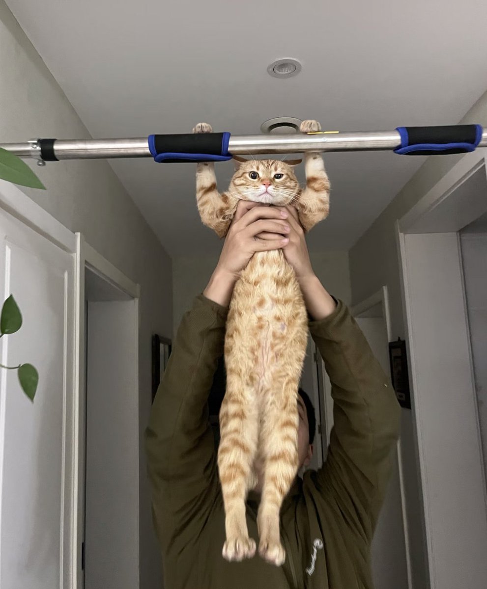 Kathleen tweet media