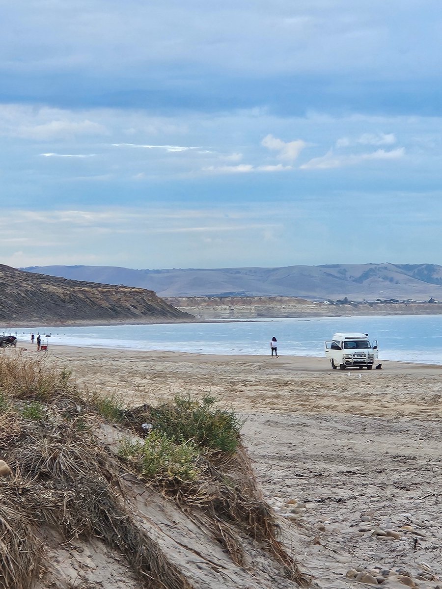 Tiger Charlie 🦘🐯 tweet media