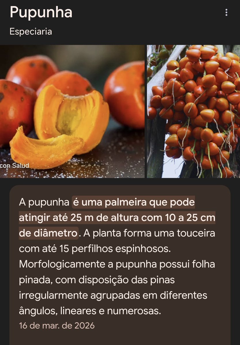 Carla - Noke7 tweet media