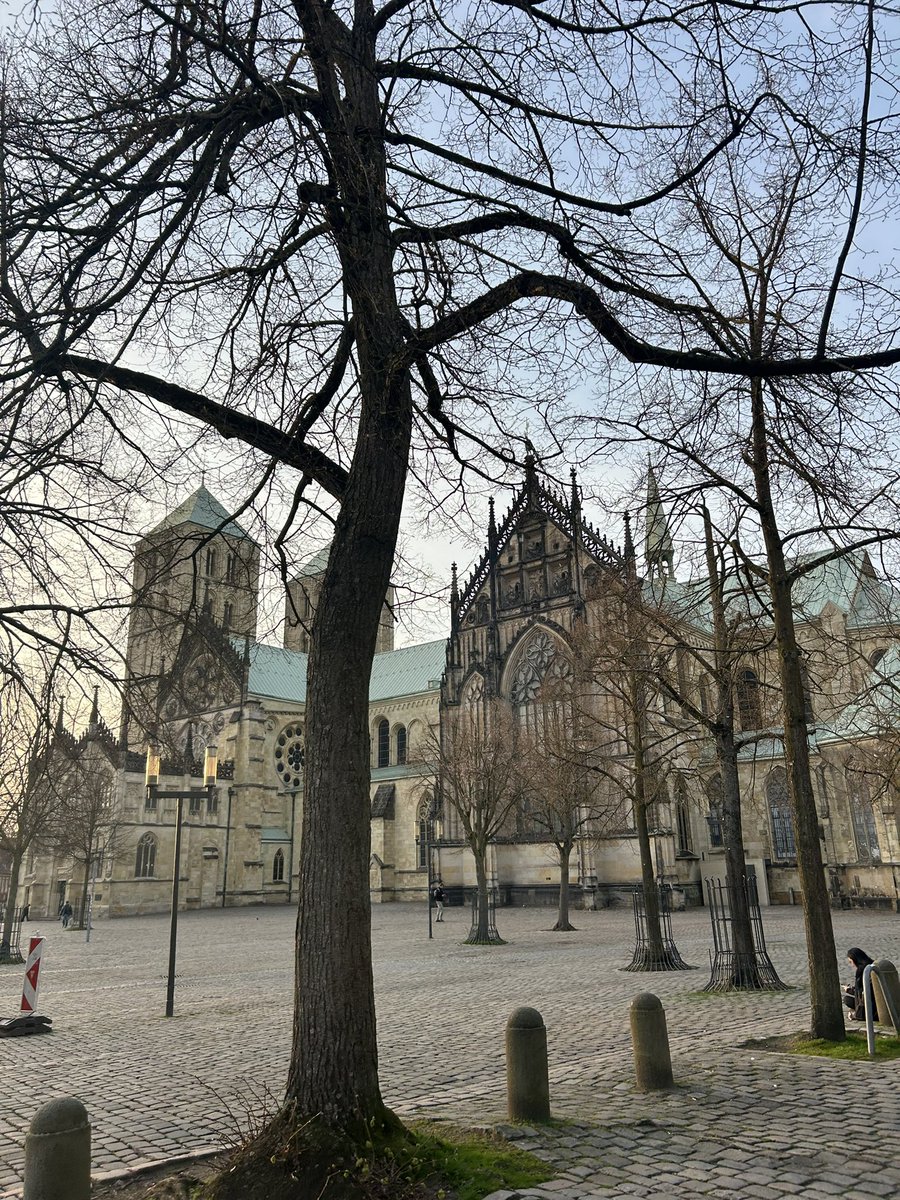 IES Antonio Tovar 🍏 tweet media