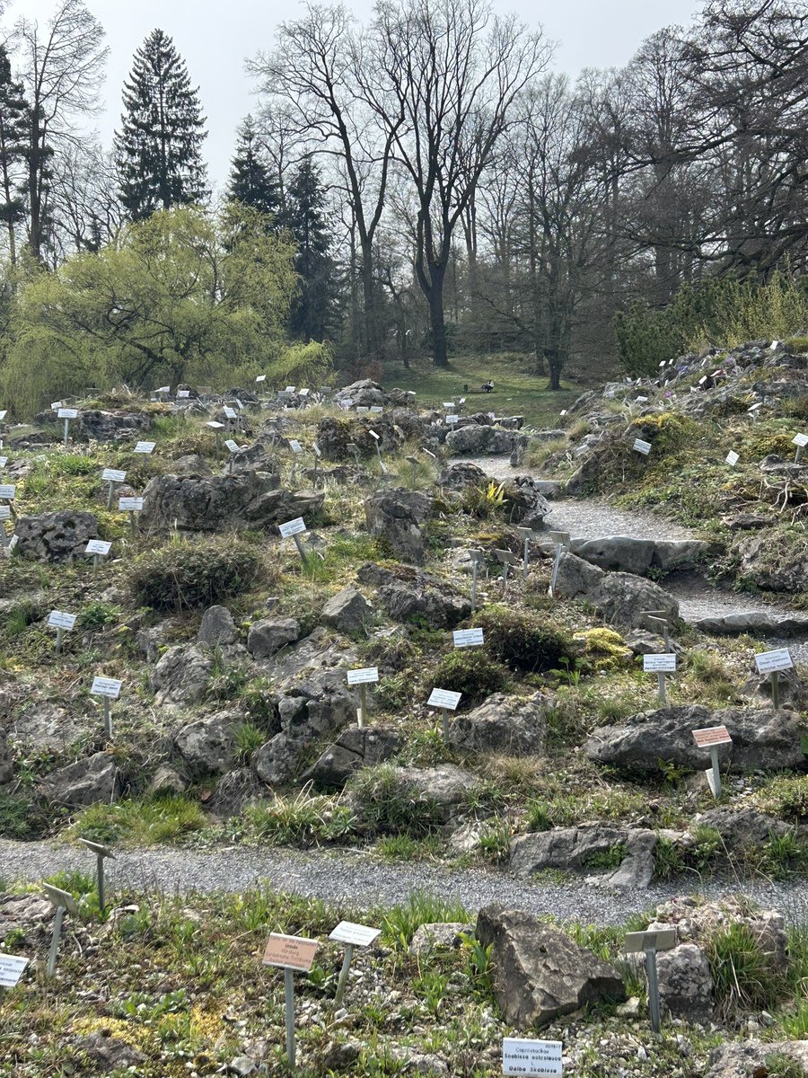 IES Antonio Tovar 🍏 tweet media