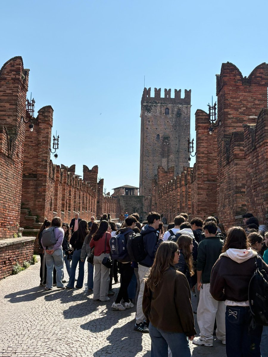 IES Antonio Tovar 🍏 tweet media