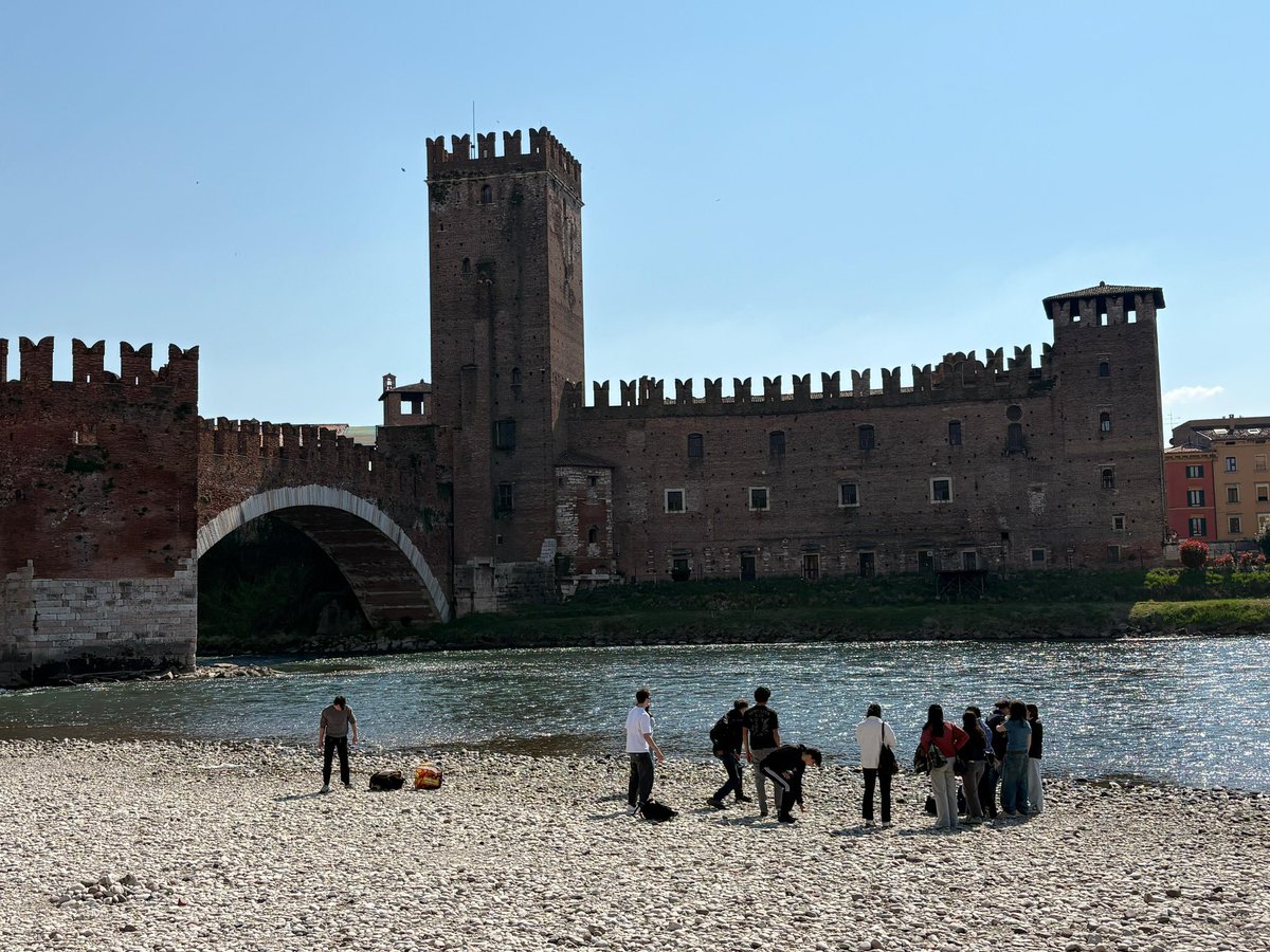 IES Antonio Tovar 🍏 tweet media