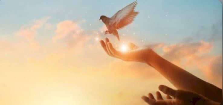 مرام tweet media